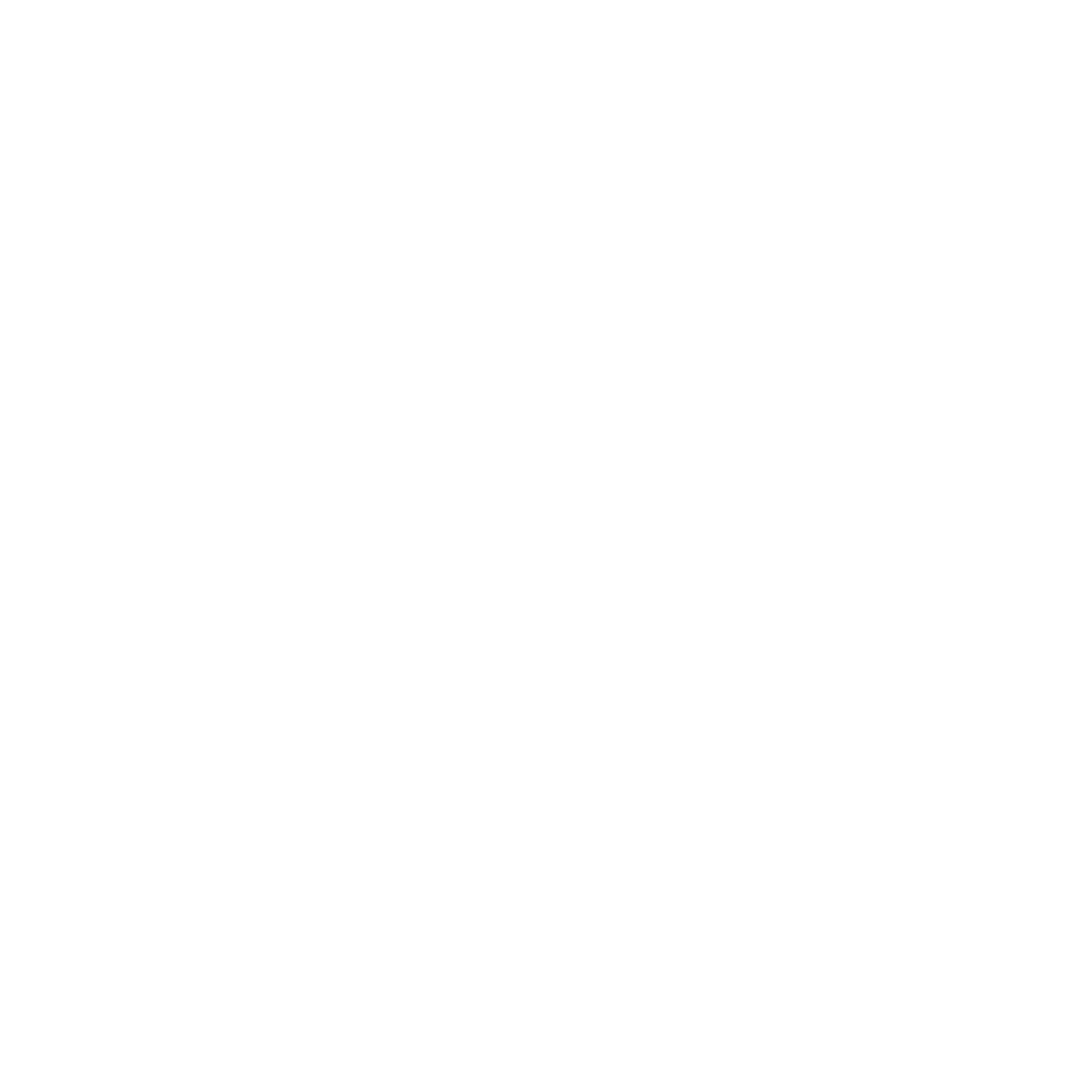 Nehem implementatie actieplan